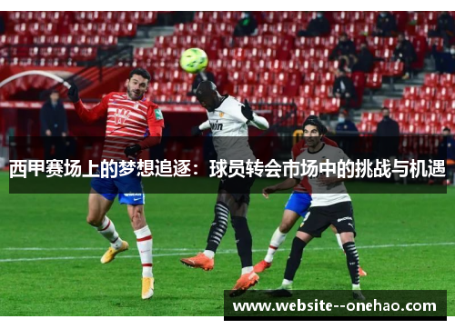 西甲赛场上的梦想追逐：球员转会市场中的挑战与机遇