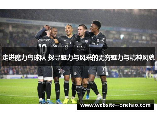 走进魔力鸟球队 探寻魅力与风采的无穷魅力与精神风貌 走进魔力鸟球队 探寻魅力与风采的无穷魅力与精神风貌