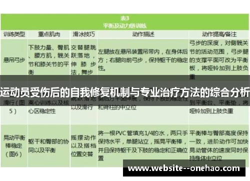 运动员受伤后的自我修复机制与专业治疗方法的综合分析